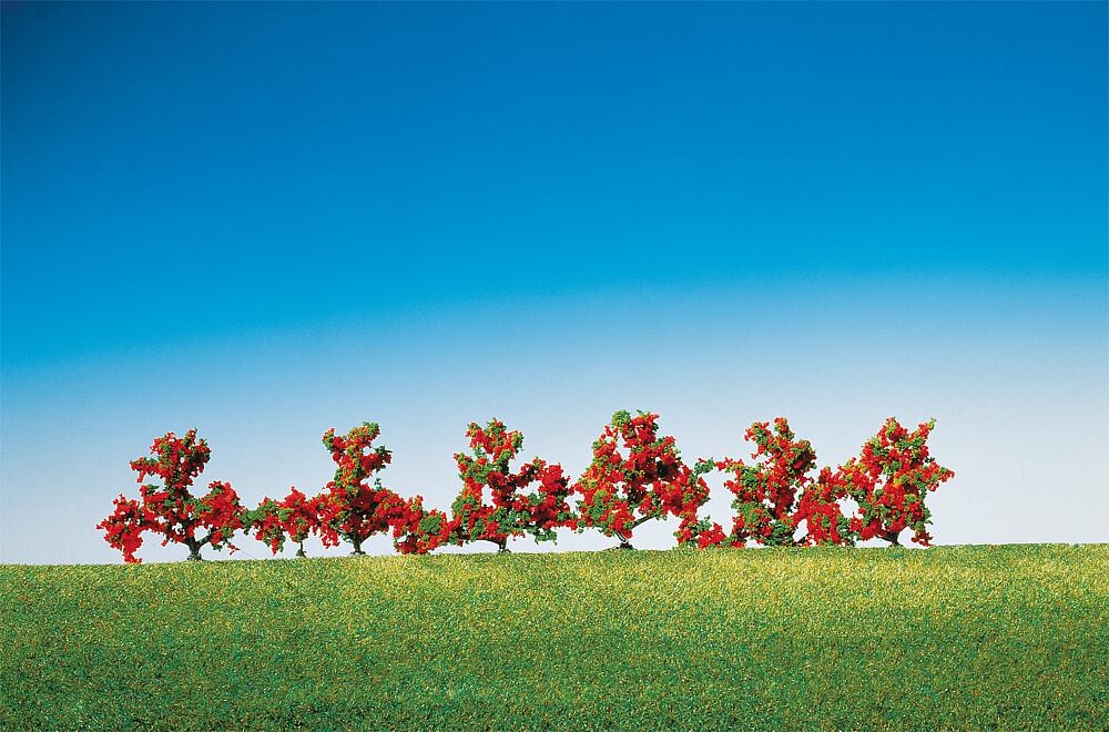 6 Bushes, red flowers