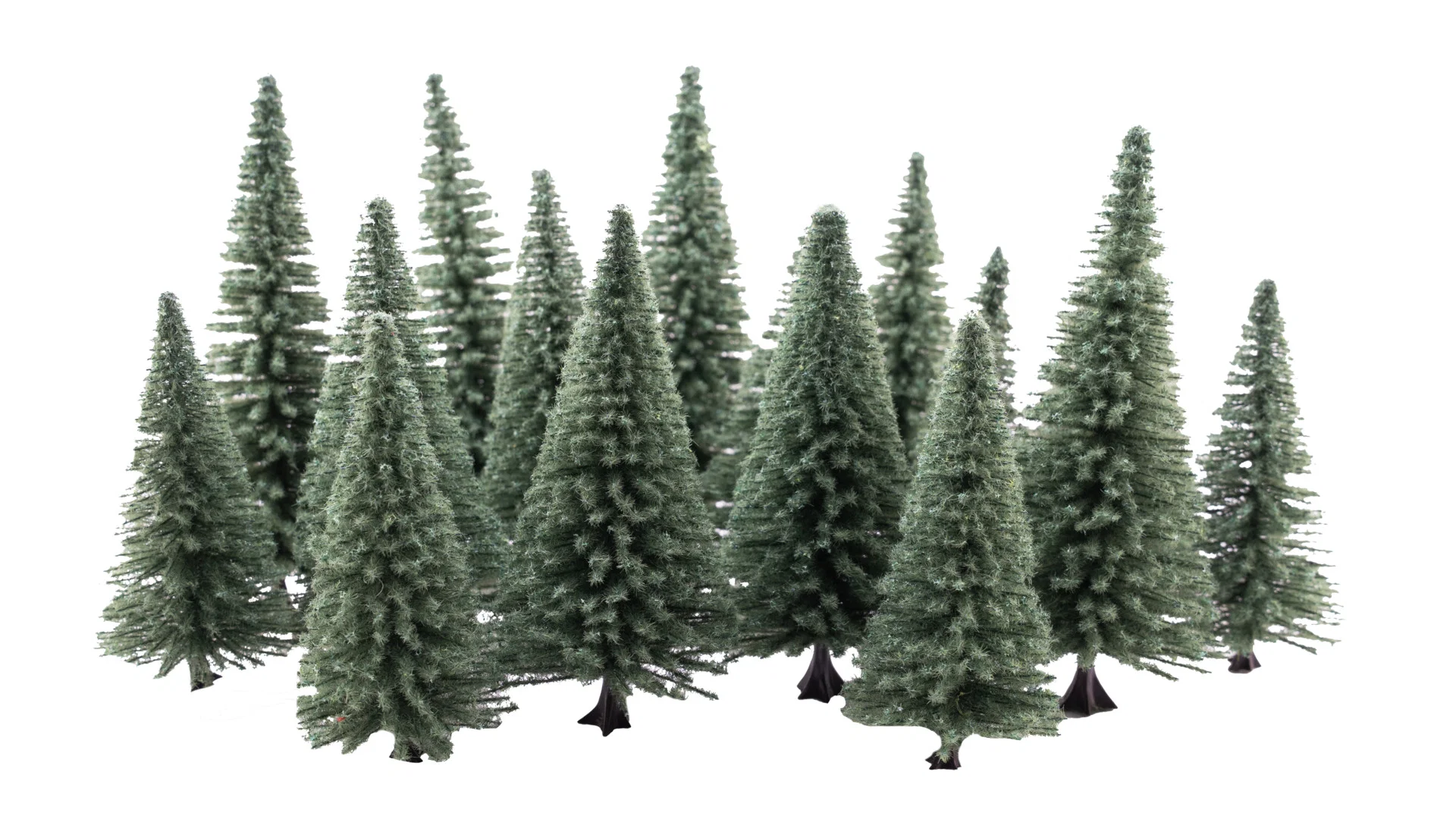 16 sapins, 10 -14 cm