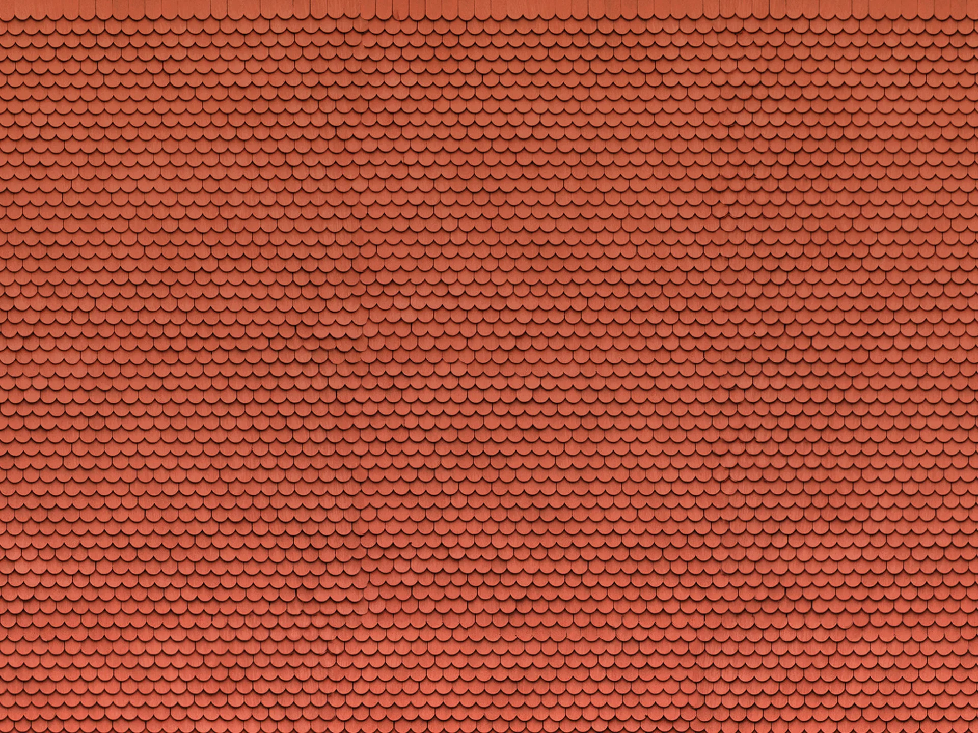 3D-Kartonplatte  Biberschwanz rot