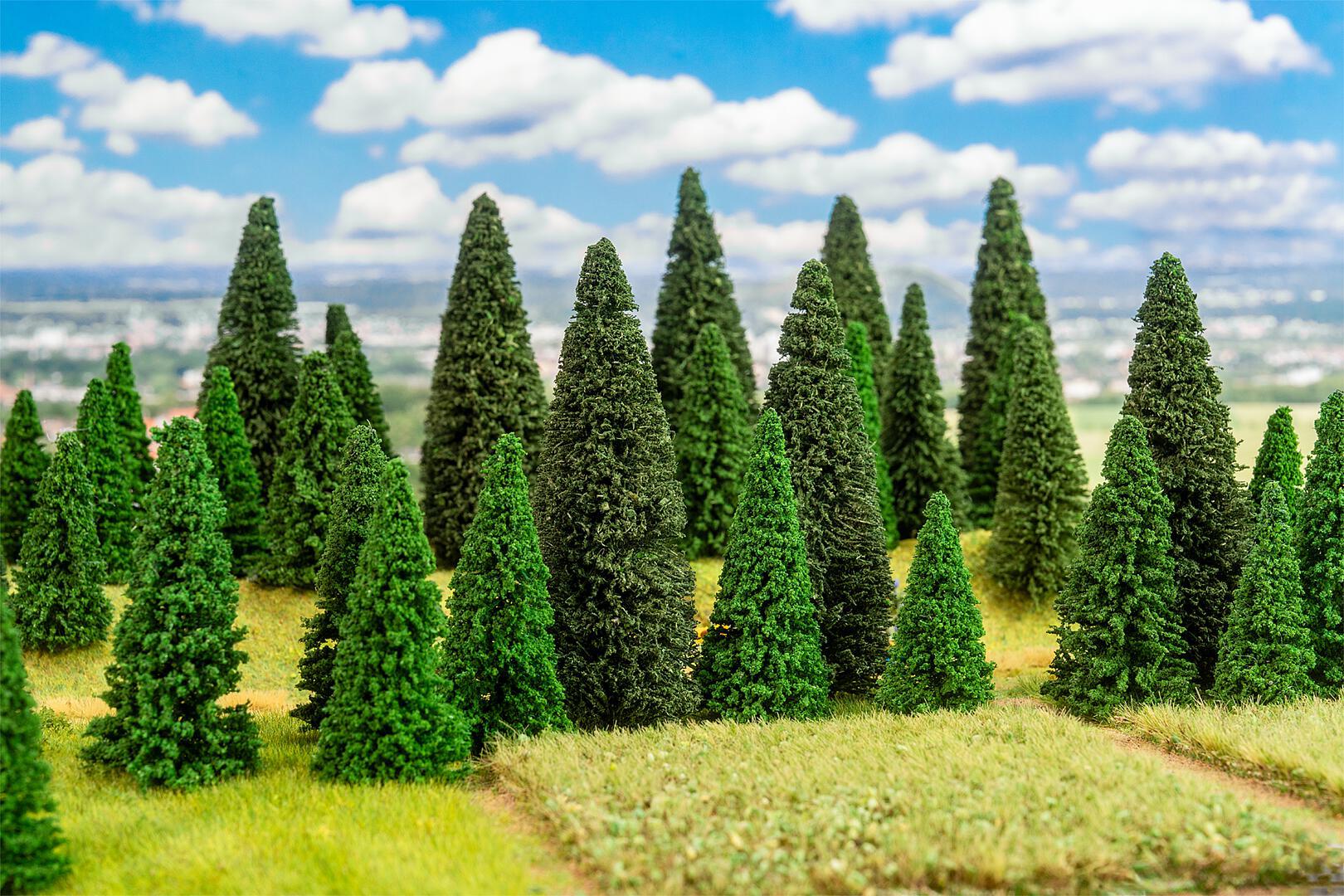 100 Sapins