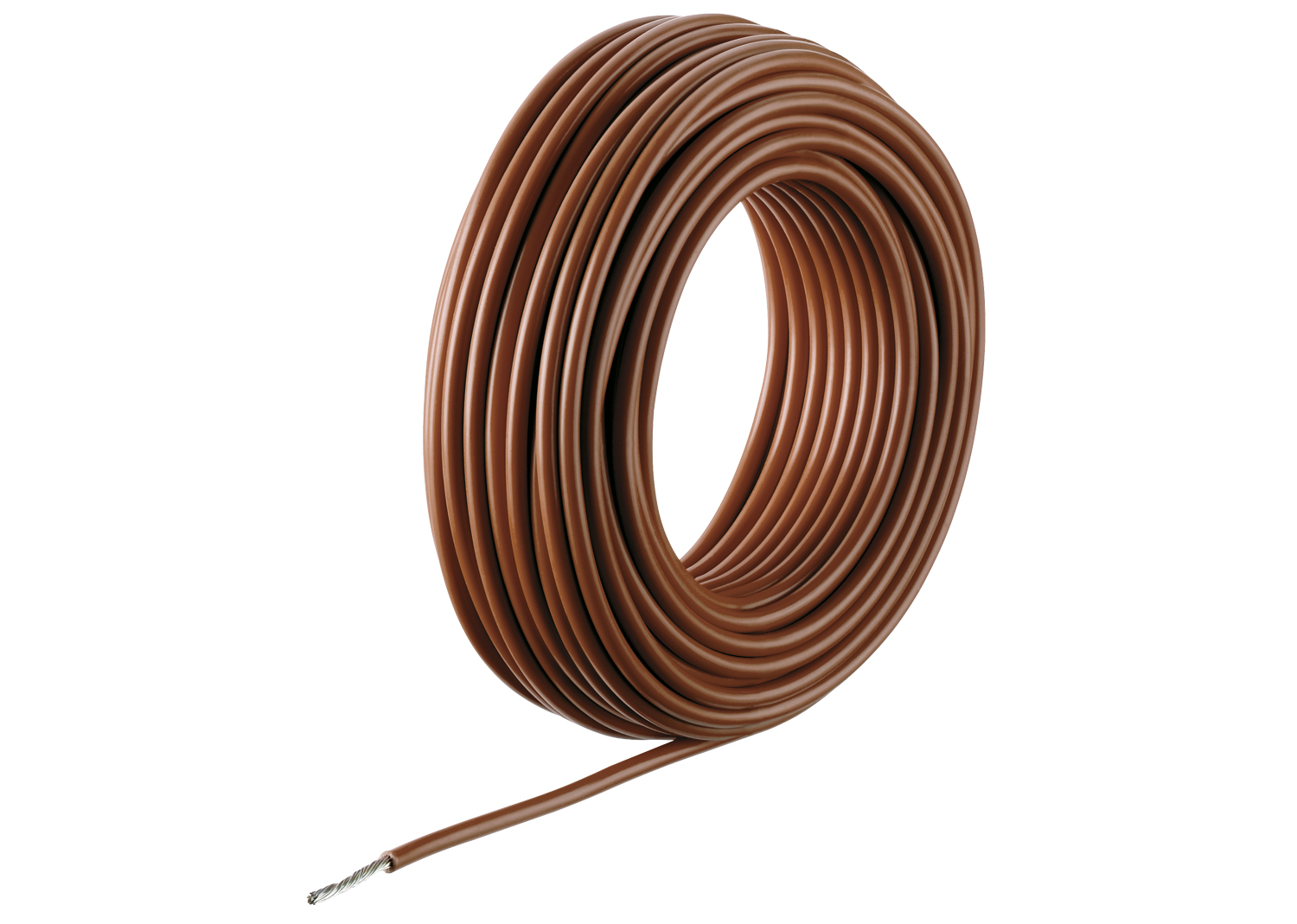 Cavetti