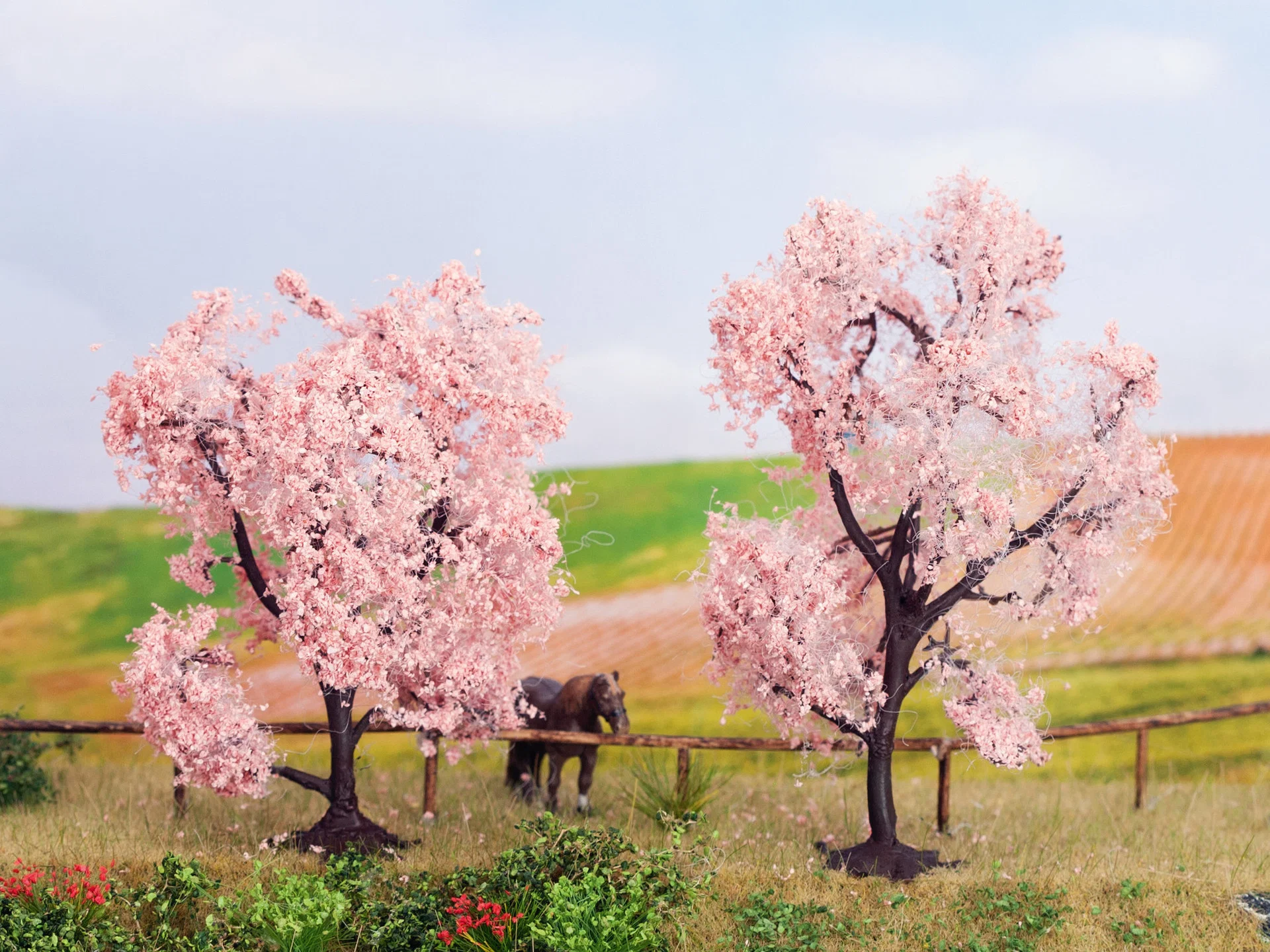 Almonds