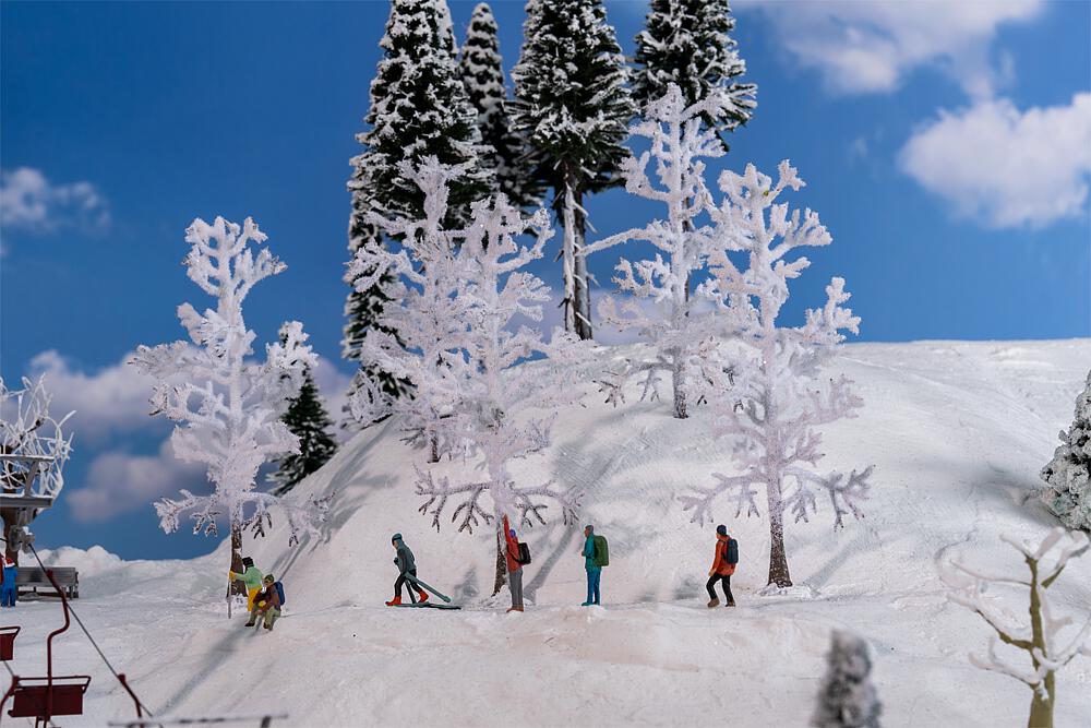 5 Snow-covered trees