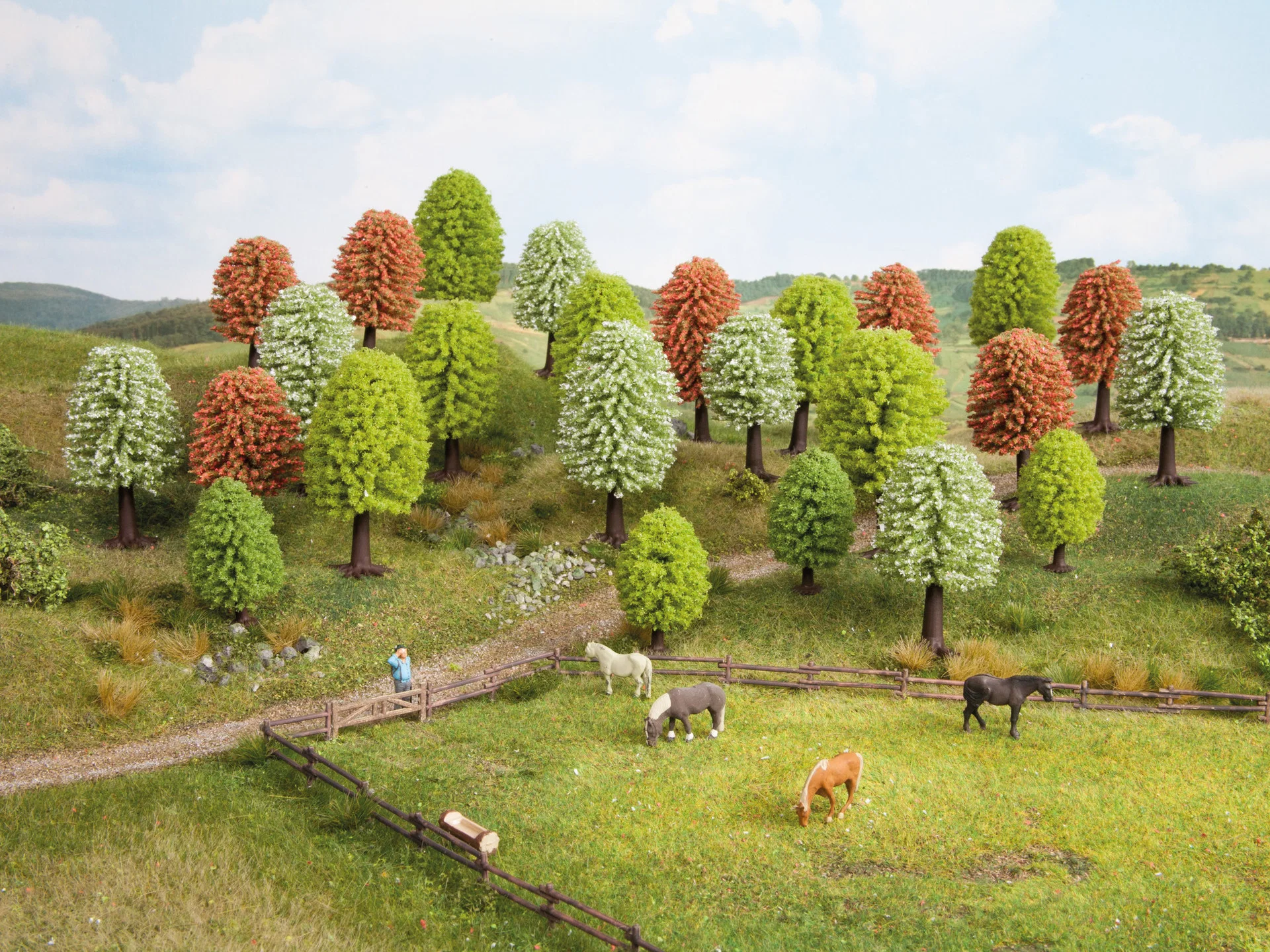 10 arbres de printemps 5 - 9 cm