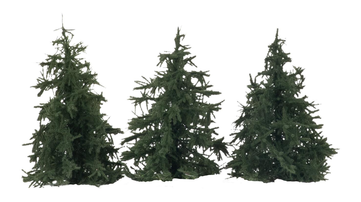 3 Fir trees