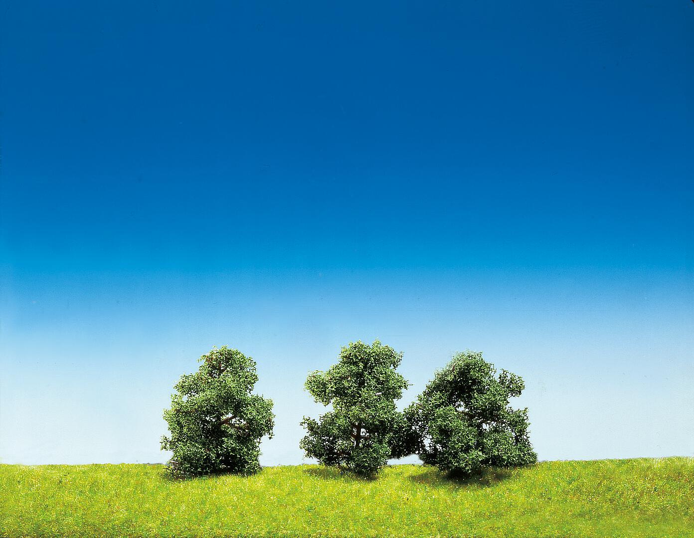 3 Bushes Top Series