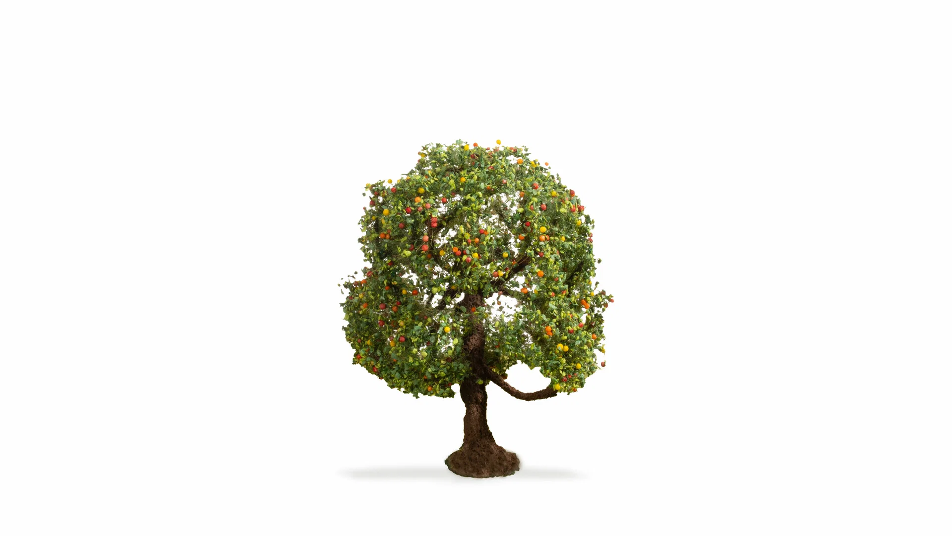 Apple Tree