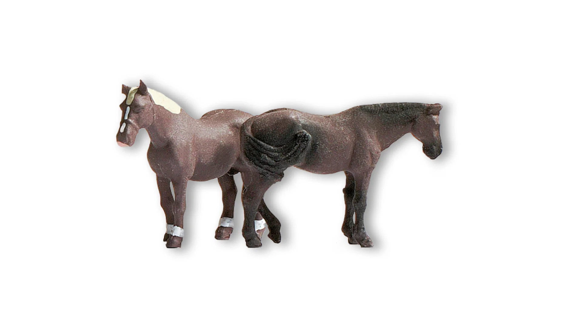 Animaux à la ferme