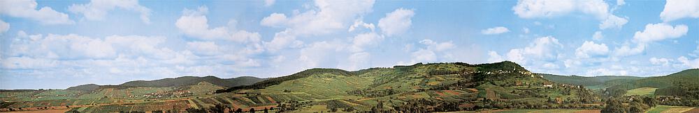 Arrière-plan du modèle Löwenstein/Württemberg