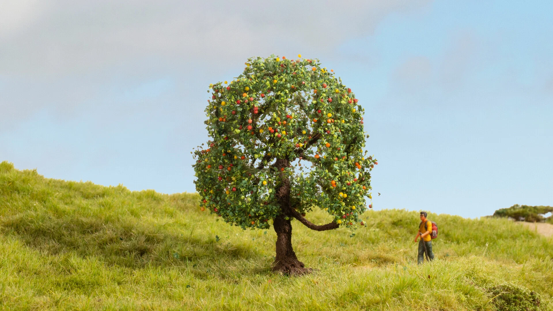 Apple Tree