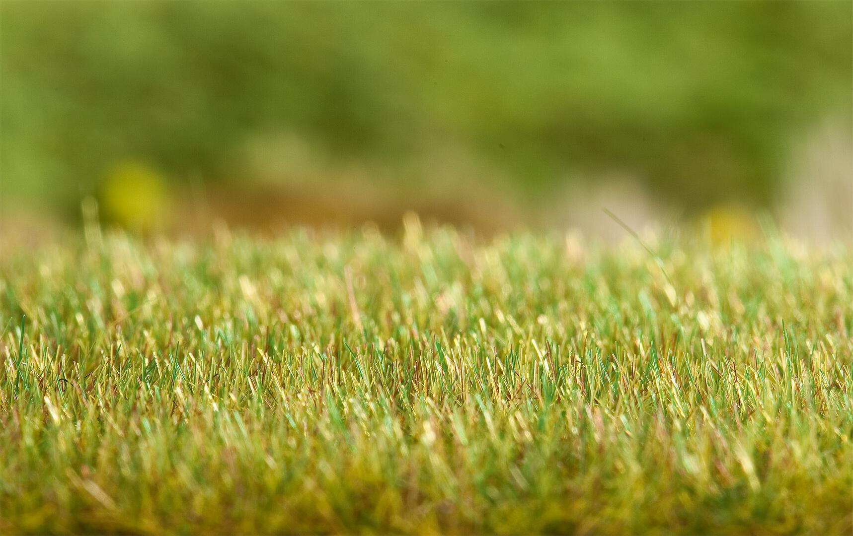 Appareil d'enherbage Gras-Fix