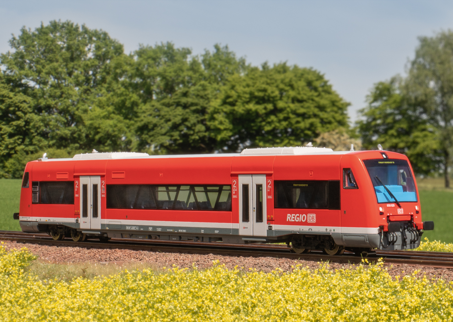 Automotrice diesel Regio Shuttle RS1, série 650