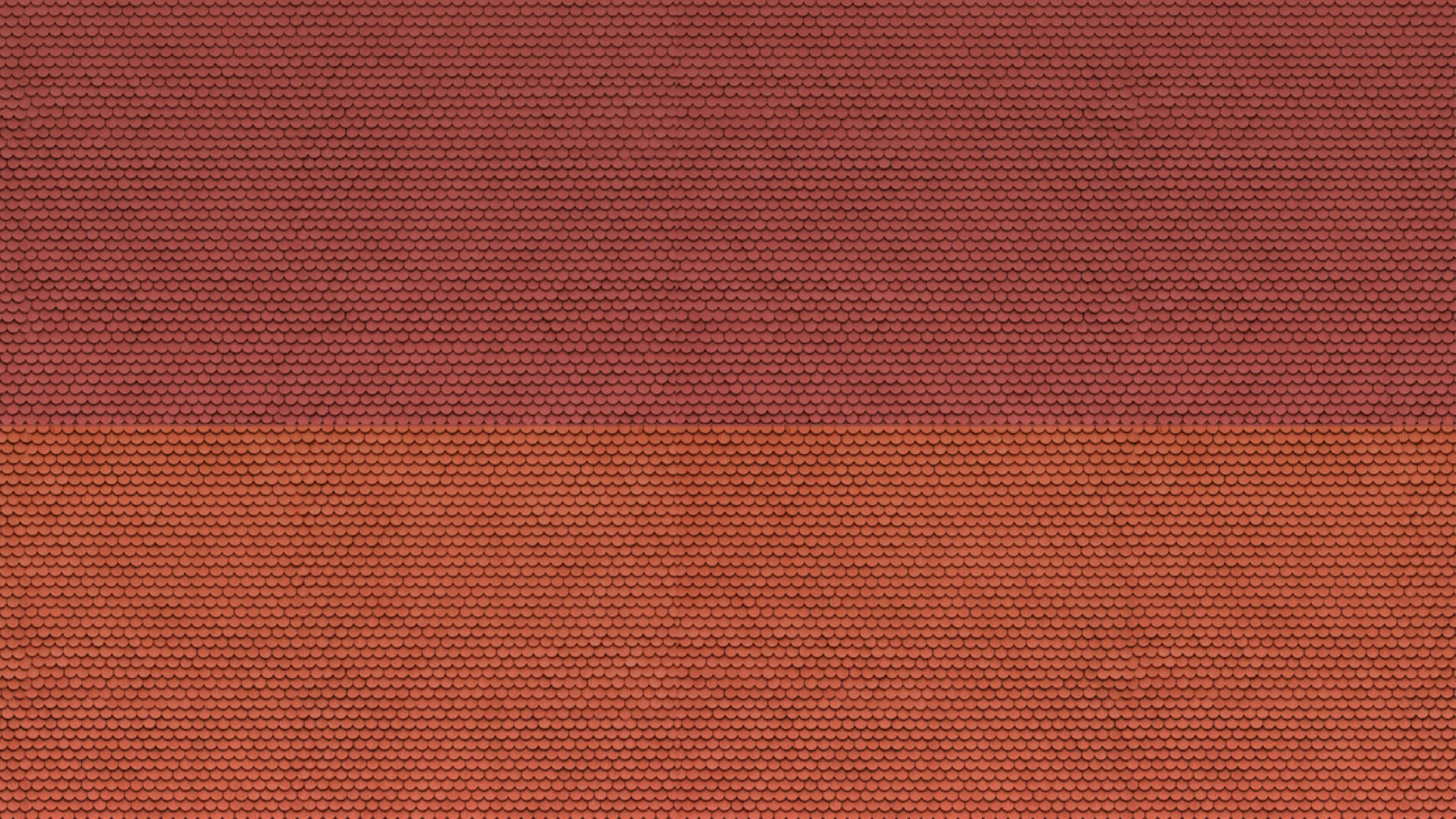 3D-Kartonplatte Biberschwanz