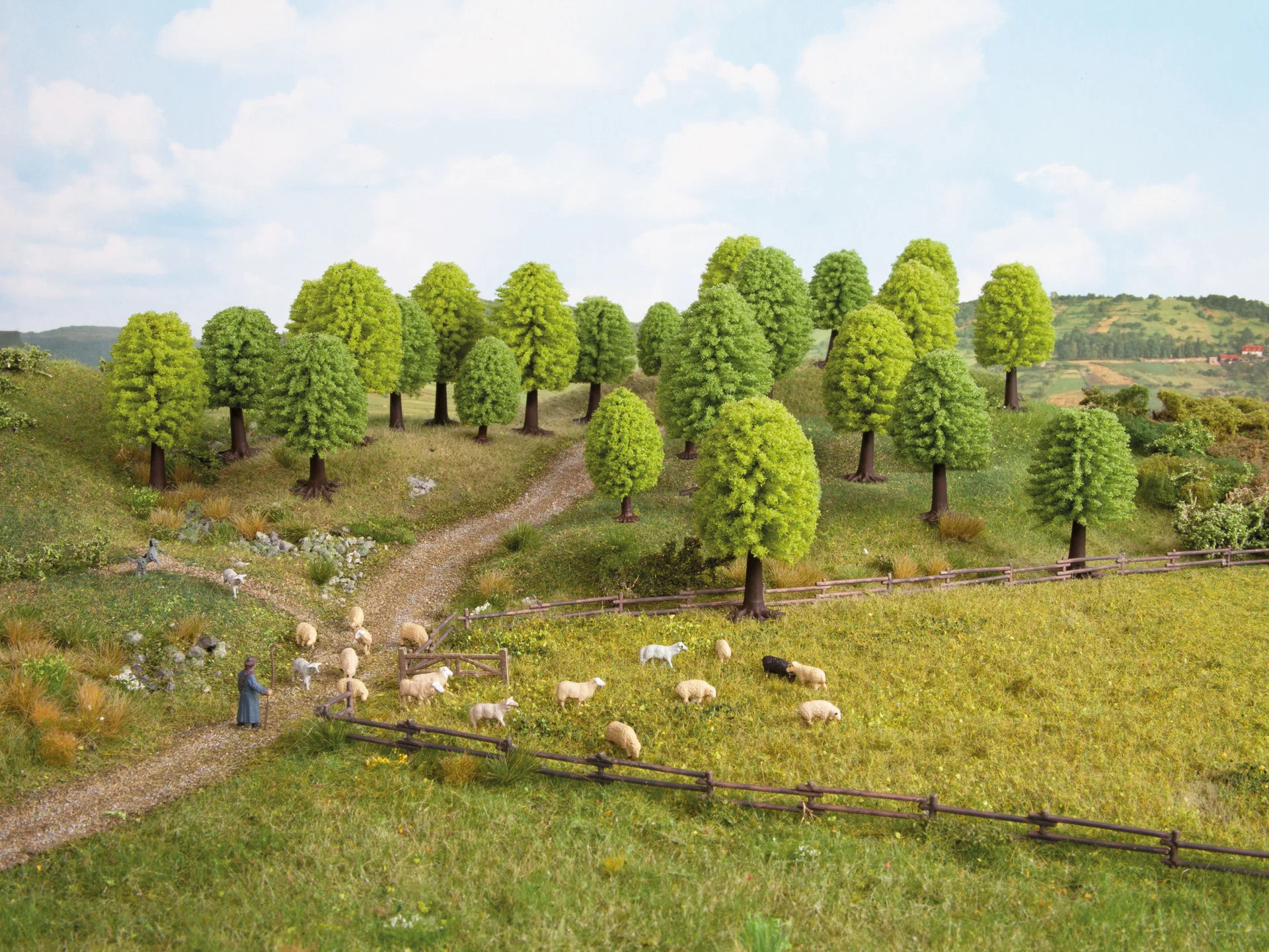 10 arbres feuillus 5 - 9 cm