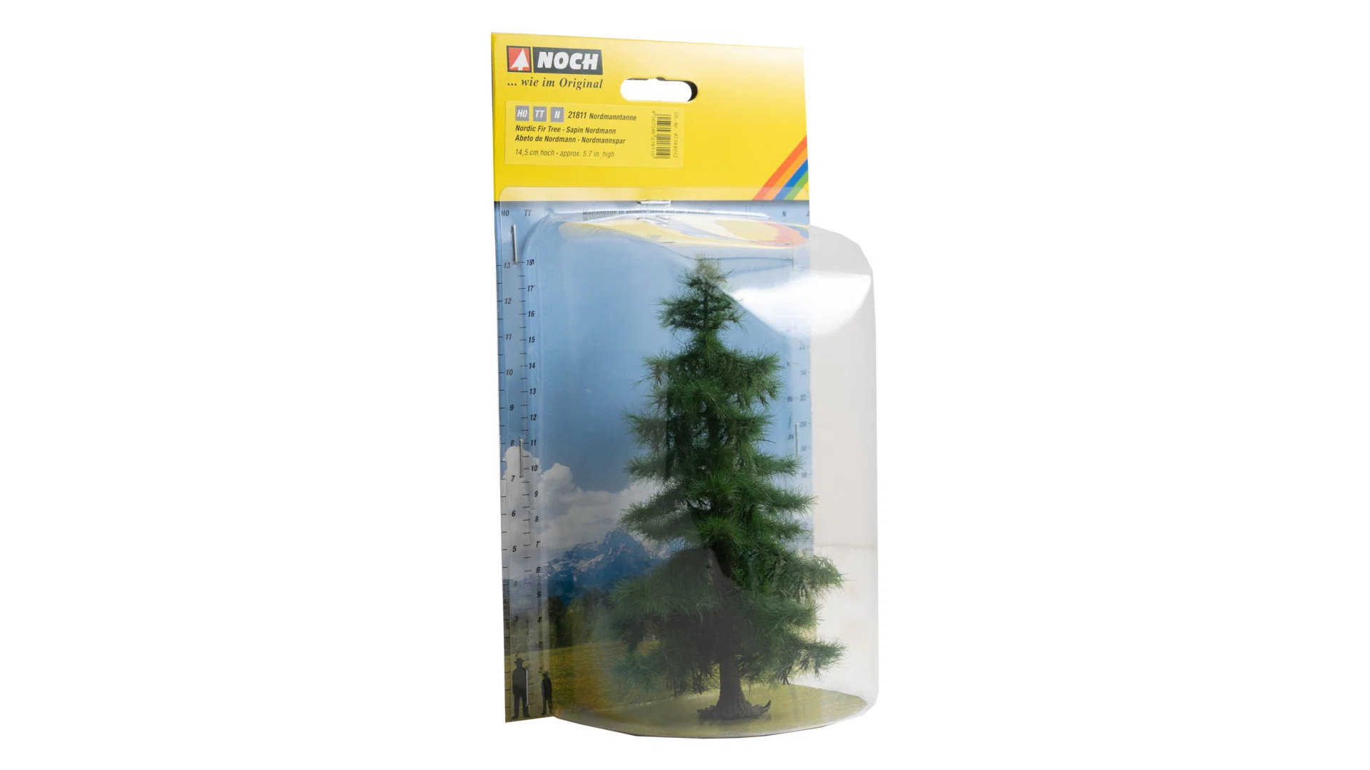 Abete del Nord alto 14,5 cm