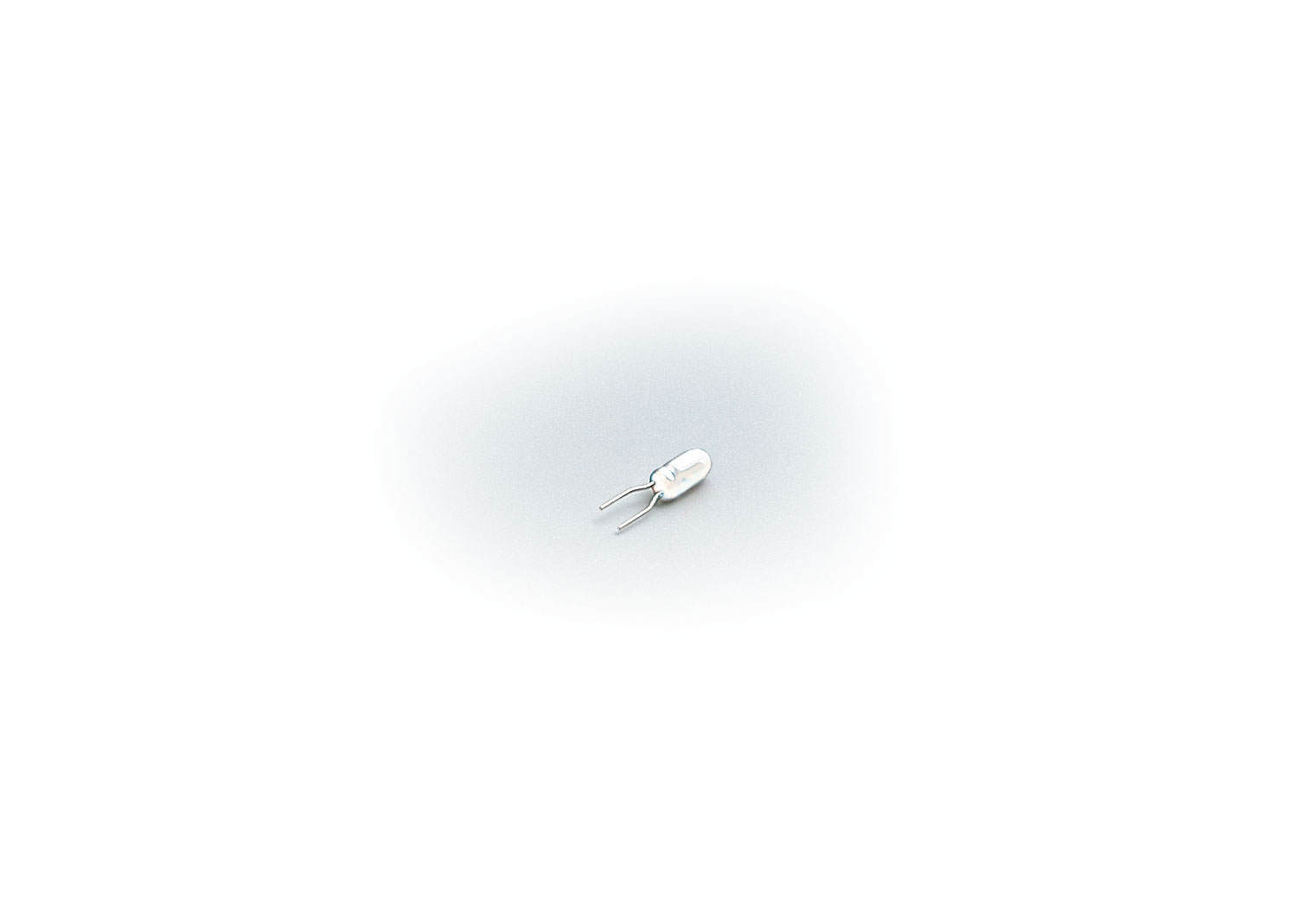 Ampoules à culot enfichable claires, 24 V, 10 unités