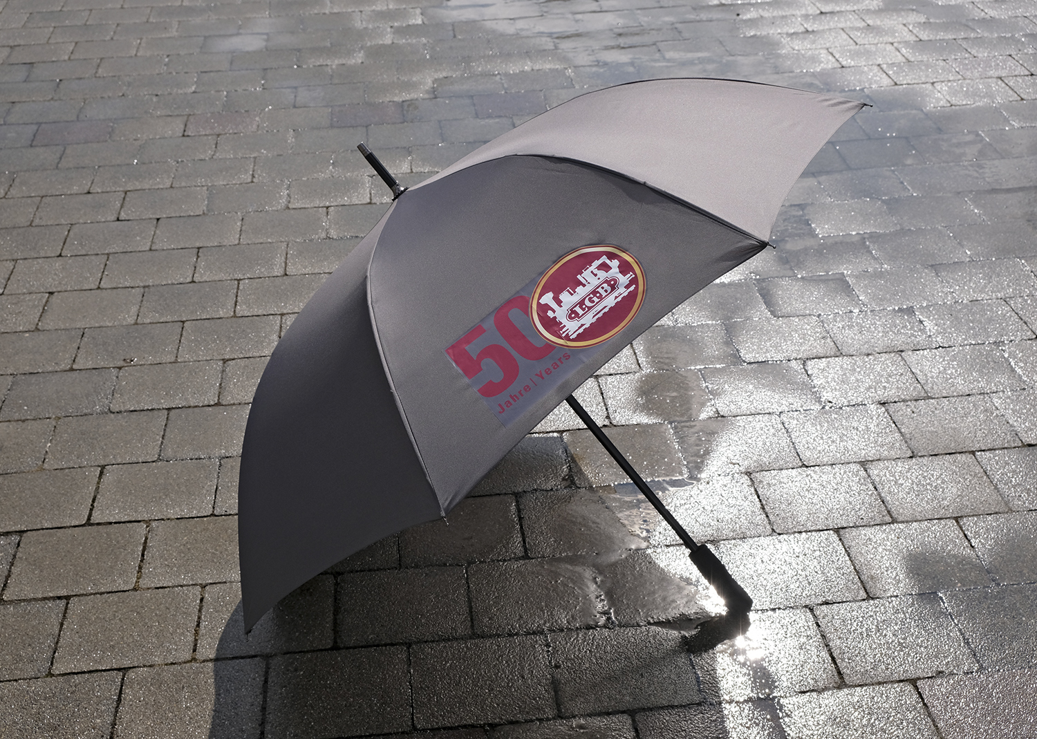"50 Years of LGB" Golf Umbrella