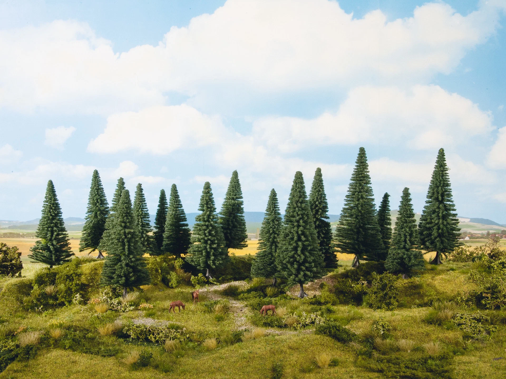 16 sapins, 10 -14 cm