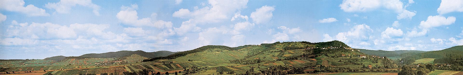 Arrière-plan du modèle Löwenstein/Württemberg