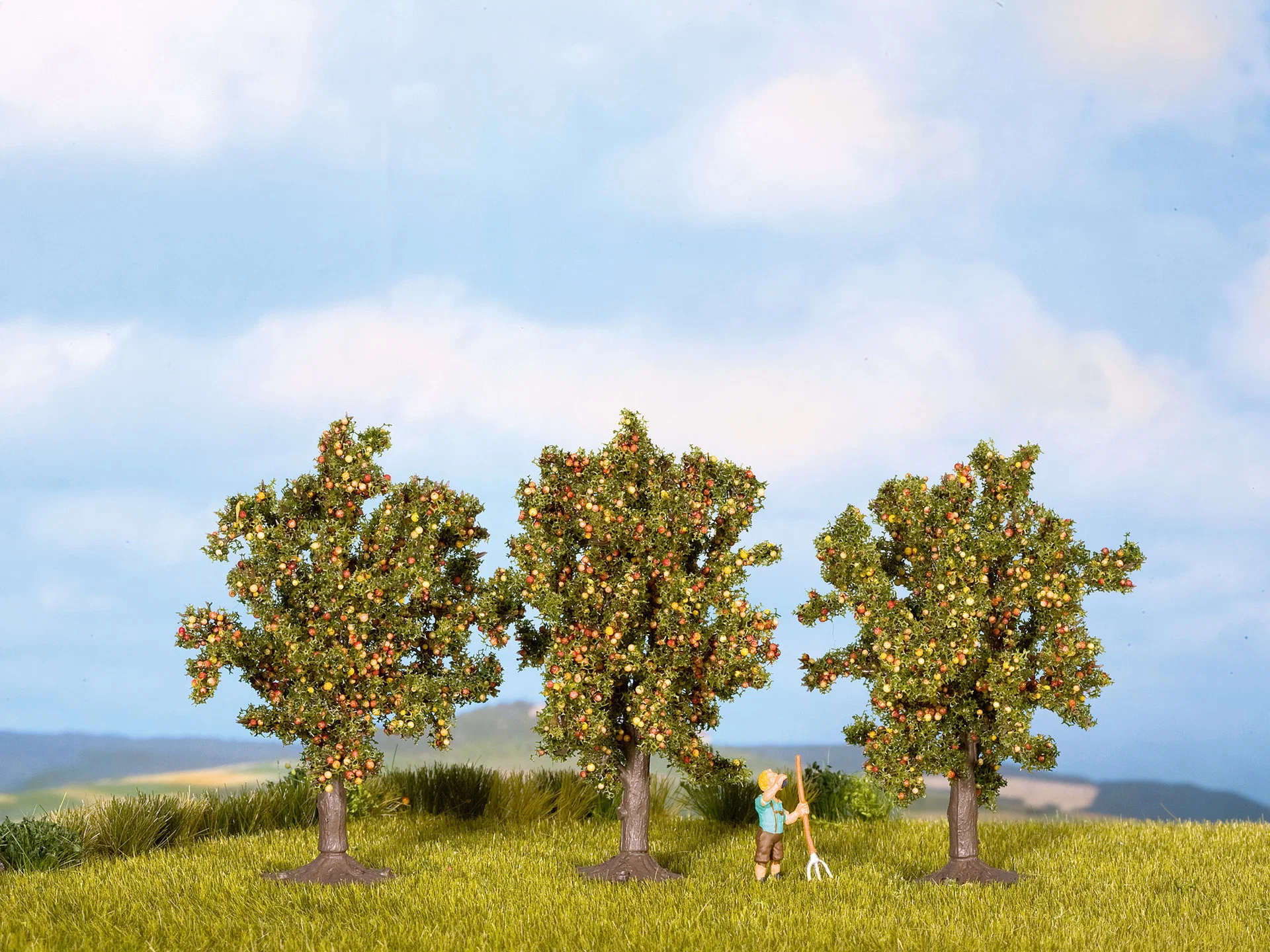 Apple Trees