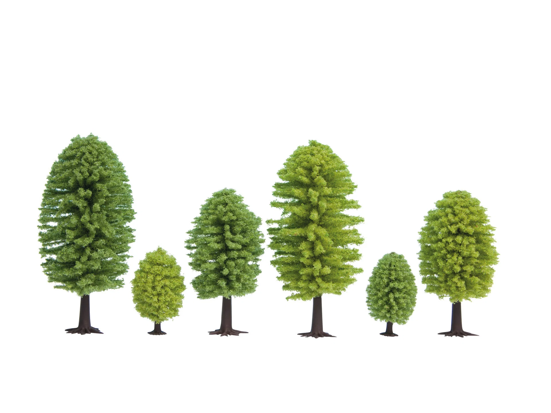 25 arbres feuillus 5 - 9 cm