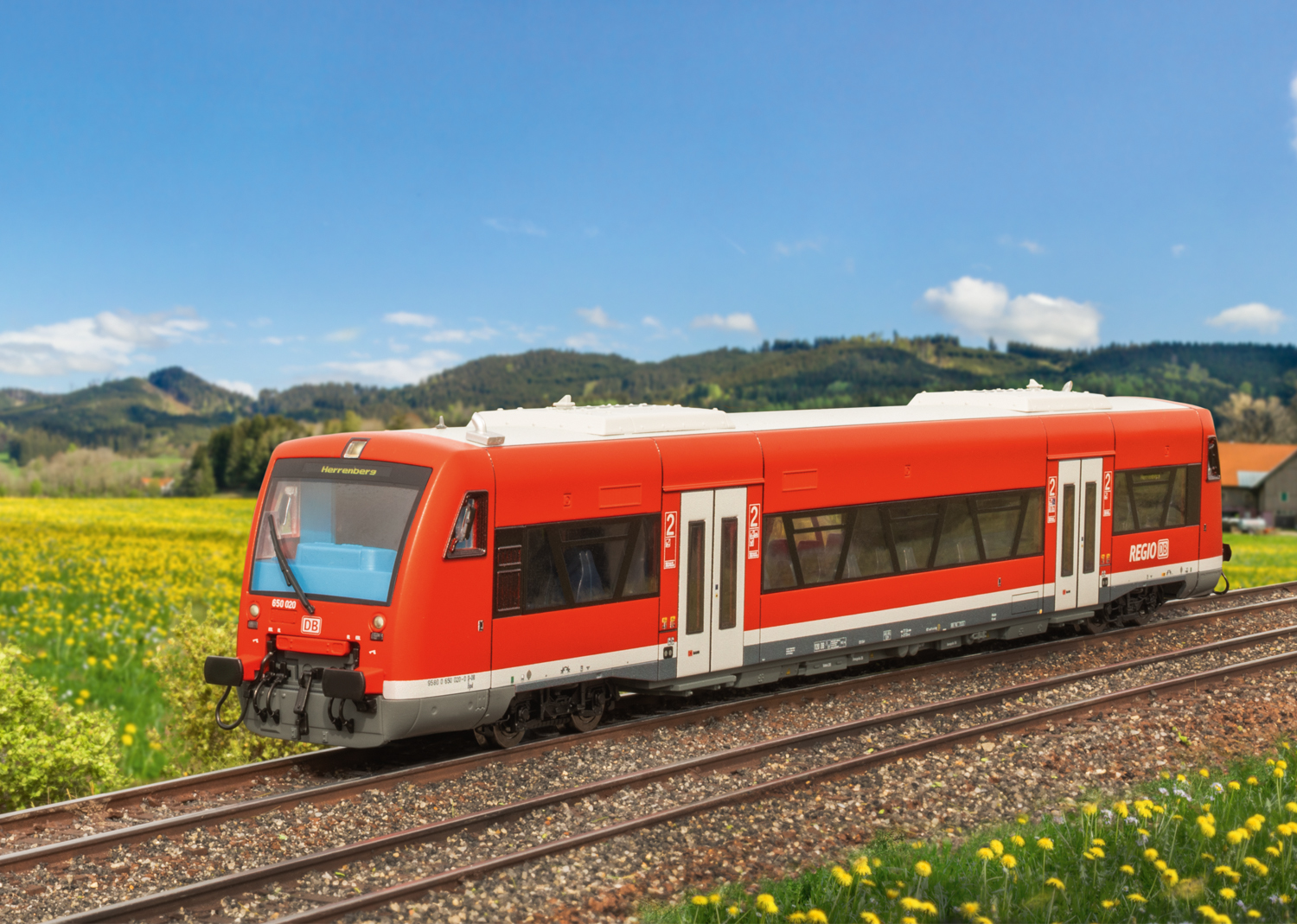 Automotrice diesel Regio Shuttle RS1, série 650