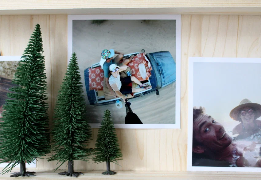 25 arbres de Noël en modèle réduit 3,5 - 9 cm