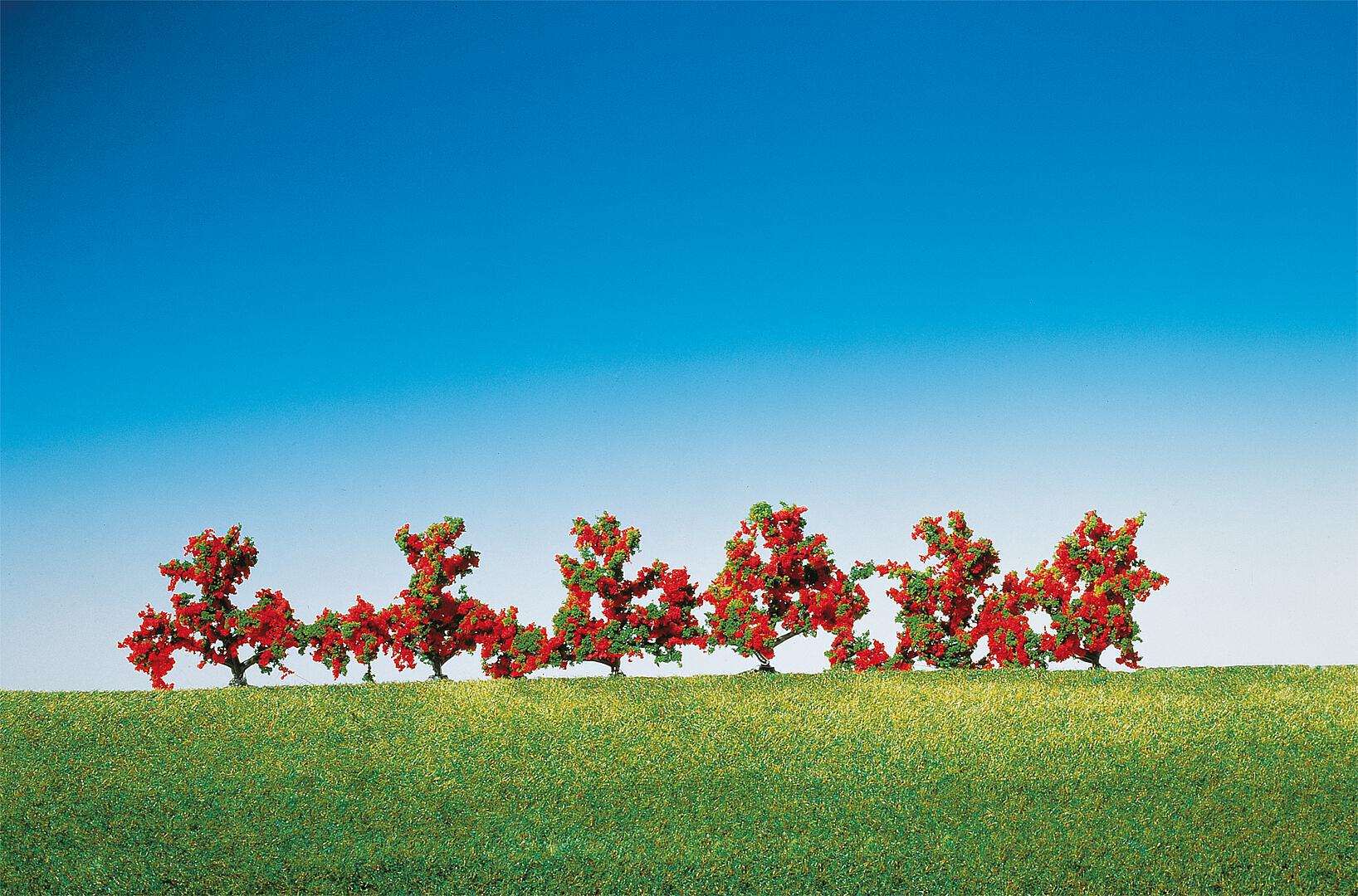 6 Bushes, red flowers